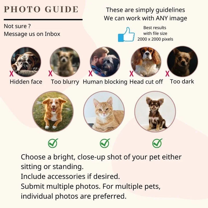 Pet Portrait Photo Guidelines